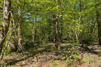  terrain guignes 77390