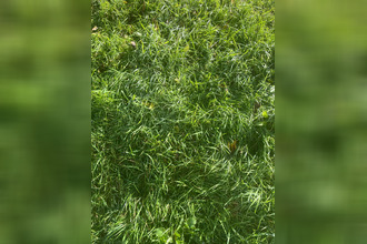  terrain guingamp 22200