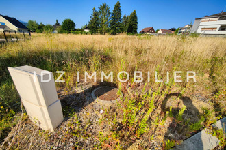  terrain hagenthal-le-bas 68220