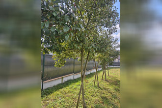  terrain heidwiller 68720