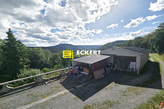  terrain heiligenberg 67190