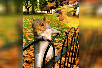  terrain herblay 95220