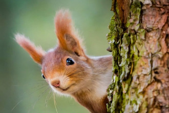  terrain herblay 95220