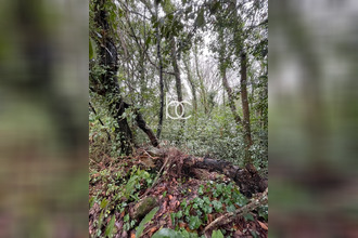  terrain ile-aux-moines 56780