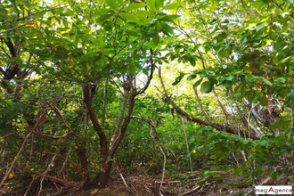  terrain ispagnac 48320