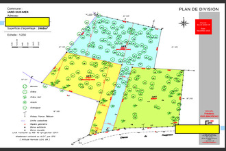  terrain jard-sur-mer 85520