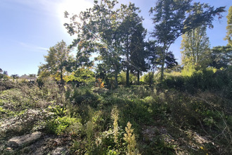  terrain jargeau 45150