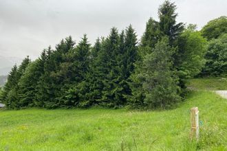  terrain jarrier 73300