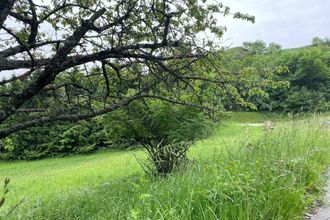  terrain jarrier 73300