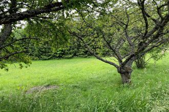  terrain jarrier 73300