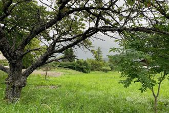  terrain jarrier 73300