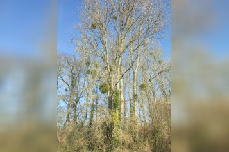  terrain jublains 53160