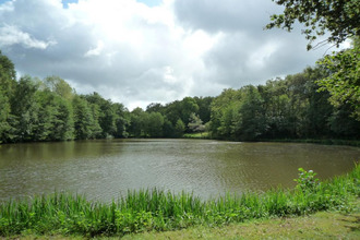  terrain juillac 19350