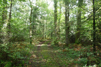  terrain juillac 19350