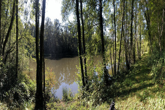  terrain juillac 19350