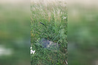  terrain l-abergement-ste-colombe 71370