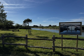  terrain l-ile-d-olonne 85340