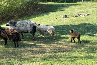  terrain la-bruere-sur-loir 72500