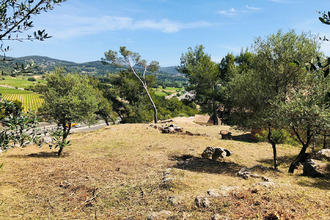  terrain la-cadiere-d-azur 83740