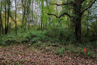  terrain la-chapelle-des-pots 17100
