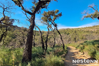  terrain la-garde-freinet 83680