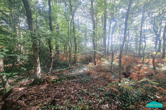  terrain la-garnache 85710