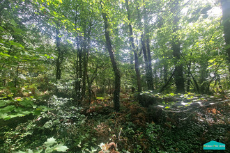  terrain la-garnache 85710