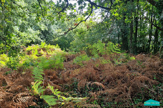  terrain la-garnache 85710