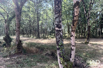  terrain la-garnache 85710