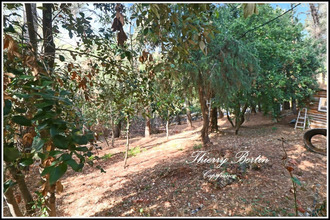  terrain la-gaude 06610