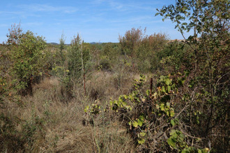  terrain la-liviniere 34210