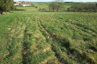  terrain la-neuveville-sous-chatenois 88170