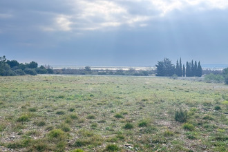  terrain la-palme 11480