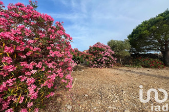  terrain la-palme 11480