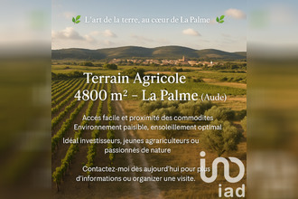  terrain la-palme 11480