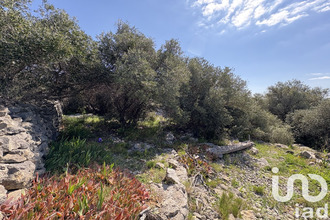  terrain la-palme 11480