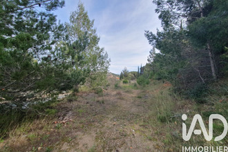  terrain la-palme 11480