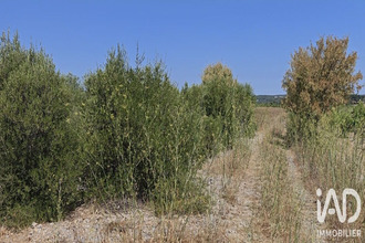  terrain la-palme 11480