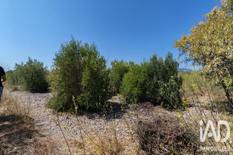  terrain la-palme 11480
