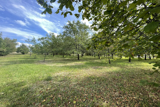  terrain la-puye 86260