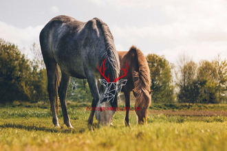  terrain la-teste-de-buch 33260