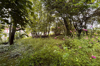  terrain ladignac-le-long 87500