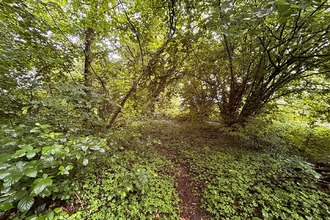  terrain ladignac-le-long 87500