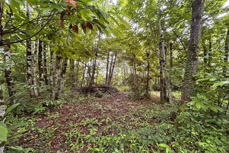  terrain ladignac-le-long 87500