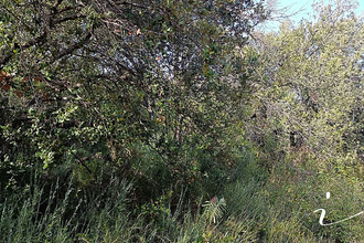  terrain lagamas 34150