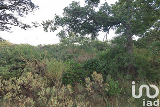  terrain lagarde-pareol 84290