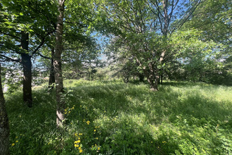  terrain lamalou-les-bains 34240