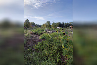  terrain lamotte-beuvron 41600