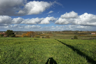  terrain langon 33210