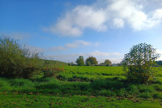  terrain languidic 56440